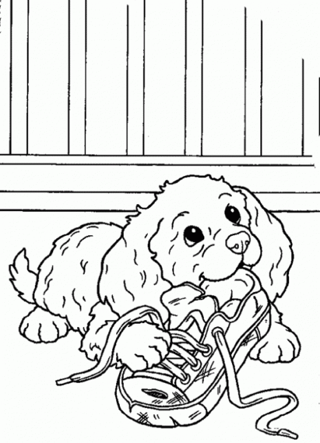 colorear-cachorro-dibujos