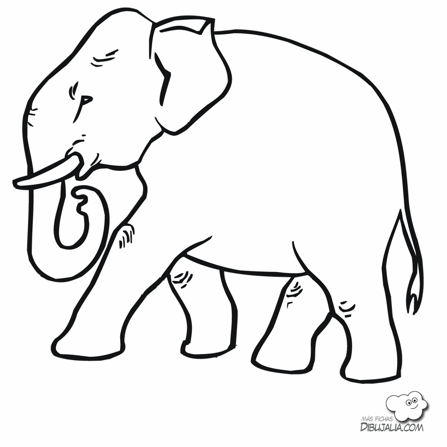 Elefantes Dibujos para pintar Colorear imágenes