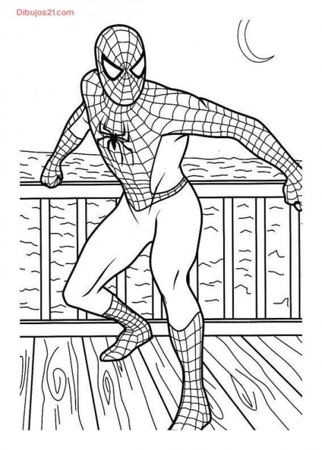 Hombre Araña o Spiderman para pintar | Colorear imágenes