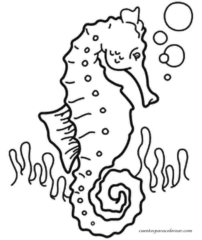 ocean beach coloring pages - photo #16