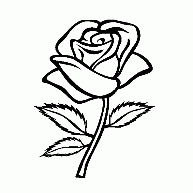 una classe coloring pages of a rose - photo #8
