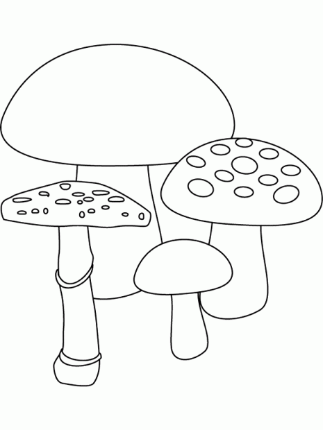 Para colorear hongos | Colorear imágenes