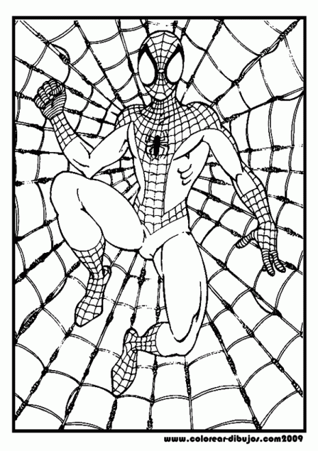 dibujos-de-spiderman-para-colorear-y-pintar