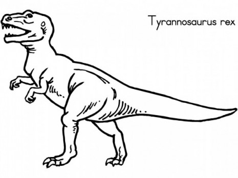 tyrannosaurus-rex