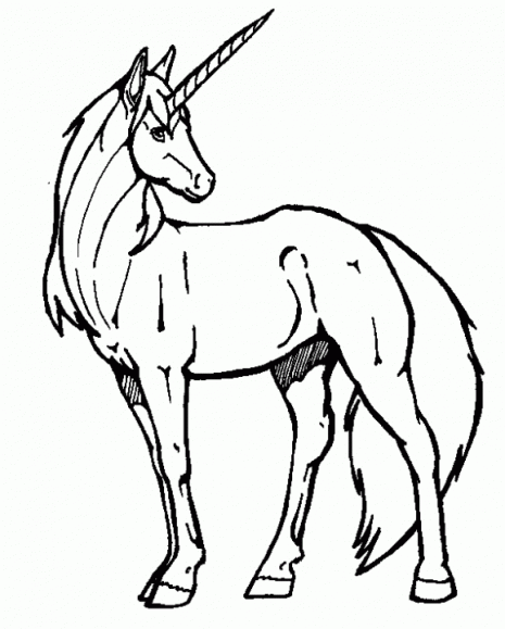 unicornios-7