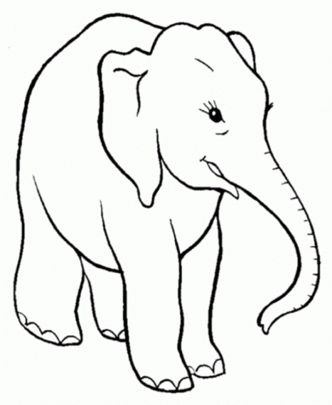 colorear-elefante-dibujos-infantiles