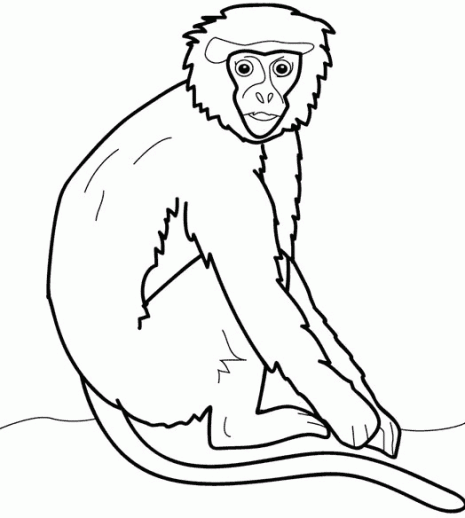 dibujos-monos-ninos