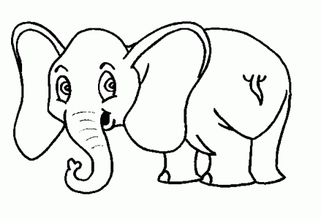 elefante-05