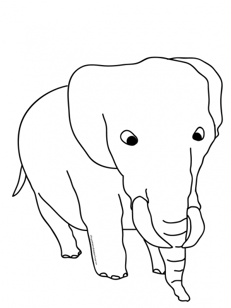 elefante-1