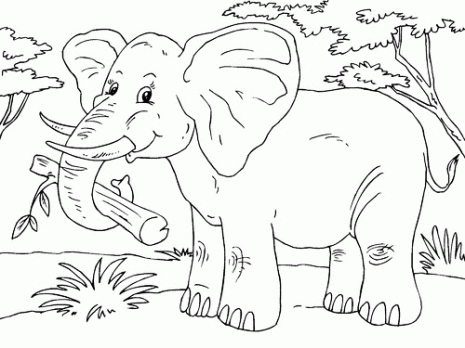 elefante-t23015