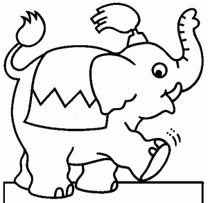 elefantes para colorear pintar-d7