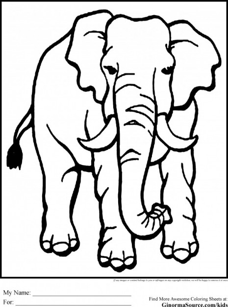 elefantes2
