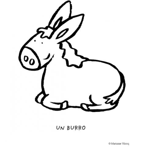 burro_2_g_thumb_480x480