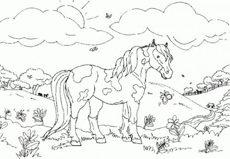 Dibujo-de-caballos-para-pintar