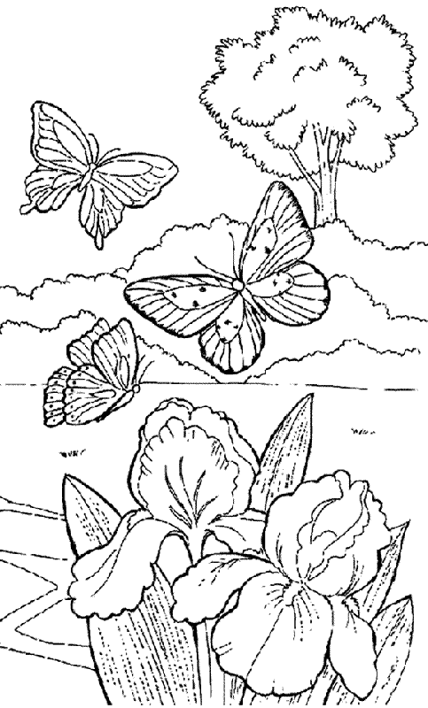 Dia de la Primavera - dibujo para colorear flores mariposas