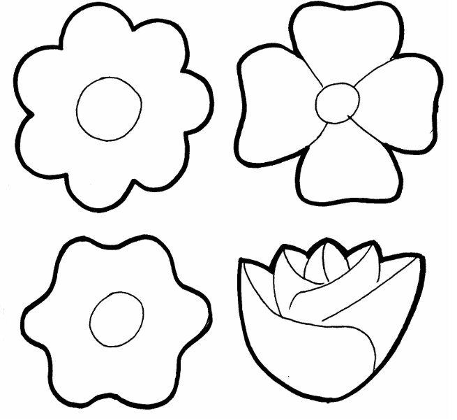 Flores (3)