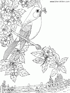 dibujos-para-colorear-de-la-primavera-sherriAllen-225x300