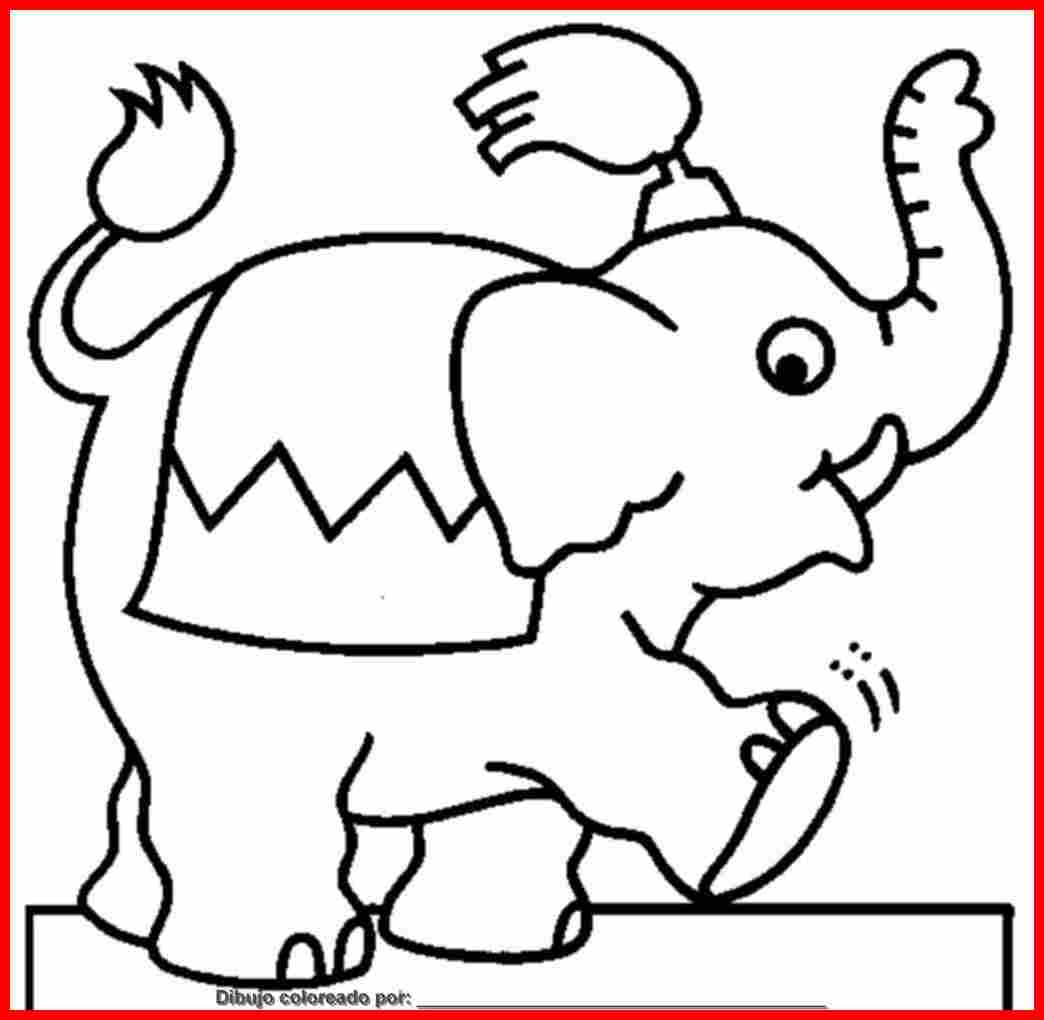 13-dibujo_elefante