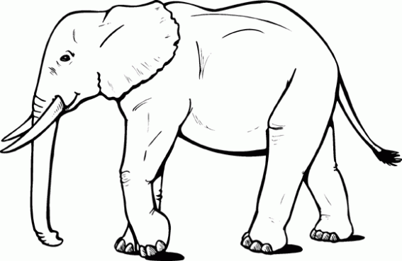 7-dibujos-colorear-elefantes-g