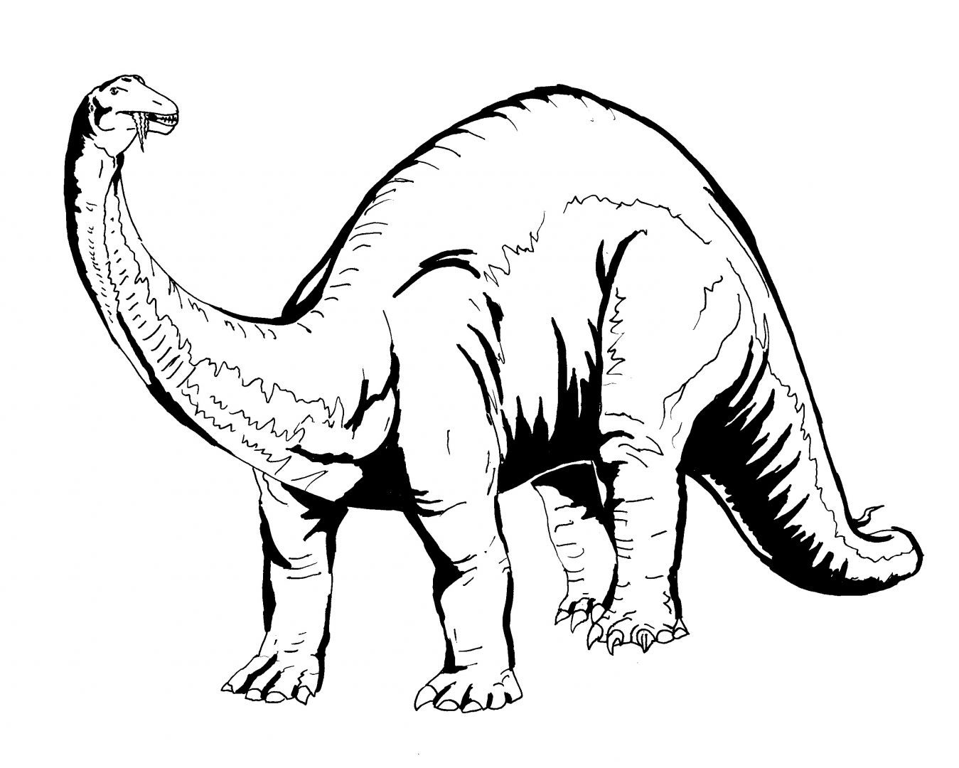 braquiosaurio-para-pintar