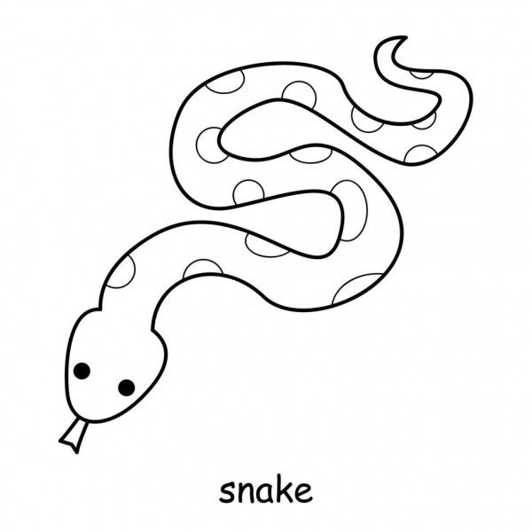 Dibujos de Serpientes para pintar | Colorear imágenes