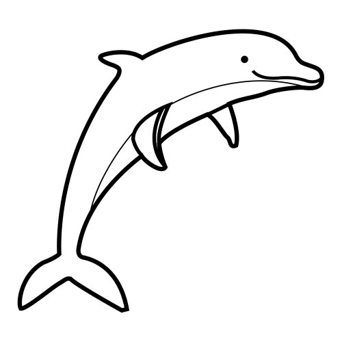 delfin (4)