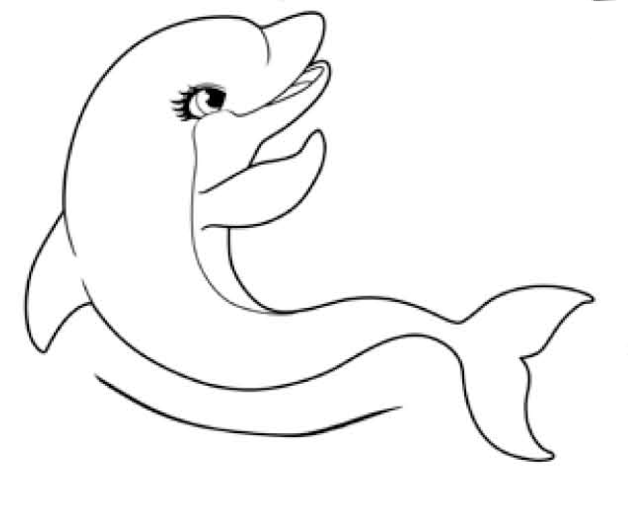 delfin (5)