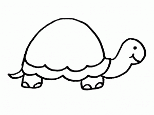 dibujo-de-una-tortuga-para-colorear-300x225
