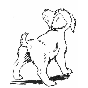 dibujos-colorear-cachorros-perros-p