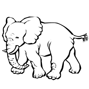 dibujos-de-elefantes-para-colorear-300x300