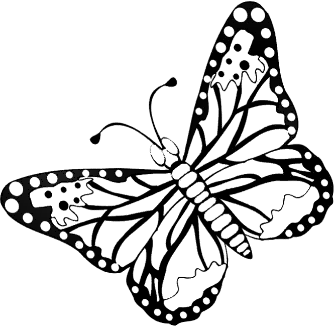 dibujos-mariposas-pintar
