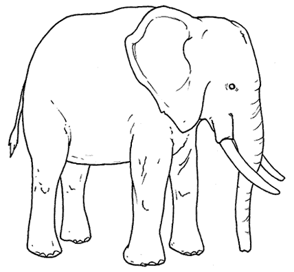 elefante para colorear-d3