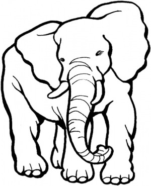 elefantes-para-colorear-e-imprimir-300x370
