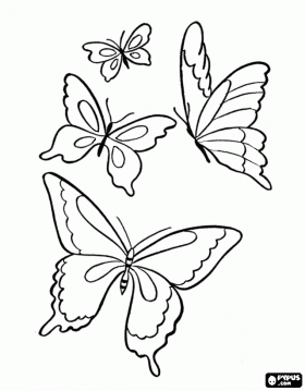 grupo-de-mariposas-voland_4c9a1f56c2d38-p