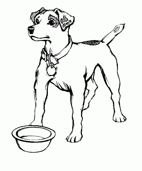 m-dibujos-razas-perros.html-4