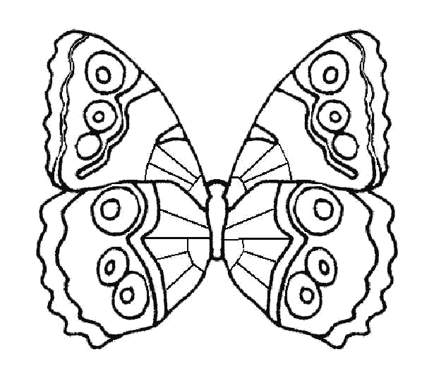 mariposa-02