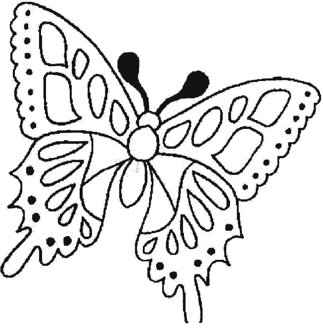 mariposa-03