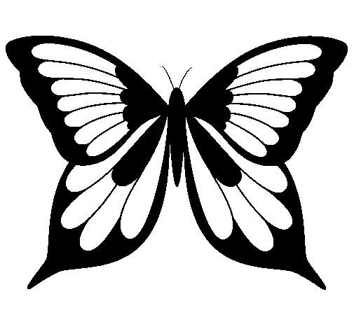 mariposa-19