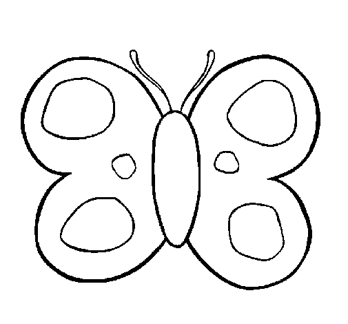 mariposa-9