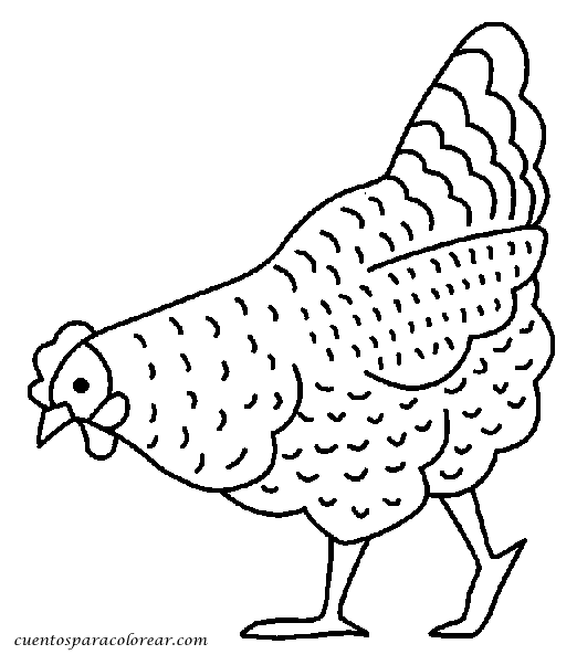 poules_002
