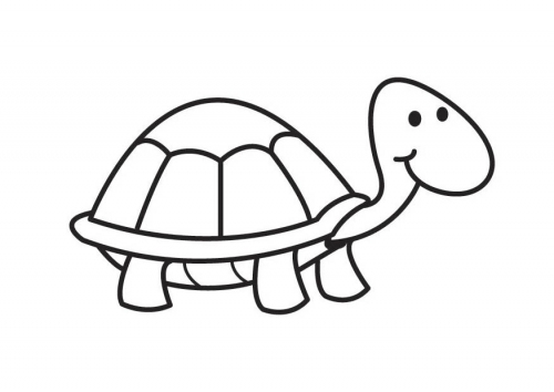 tortuga-animales-colorear-pintar-dibujos