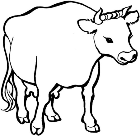 vaca-vieja-y-sabia-dibujos-para-colorear