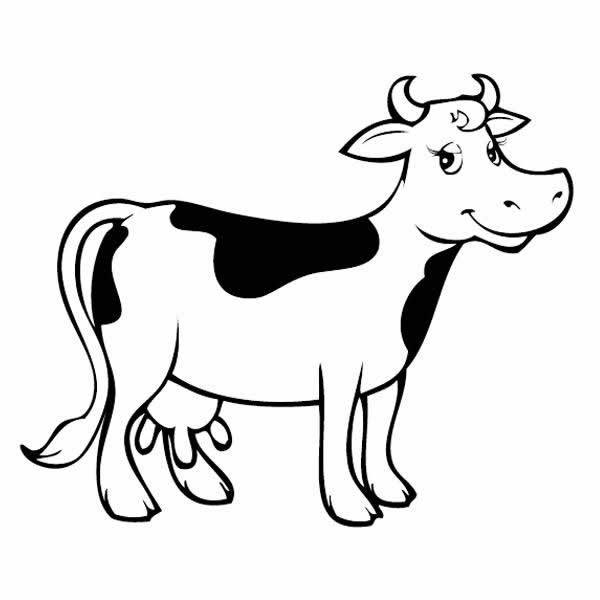 vacas1