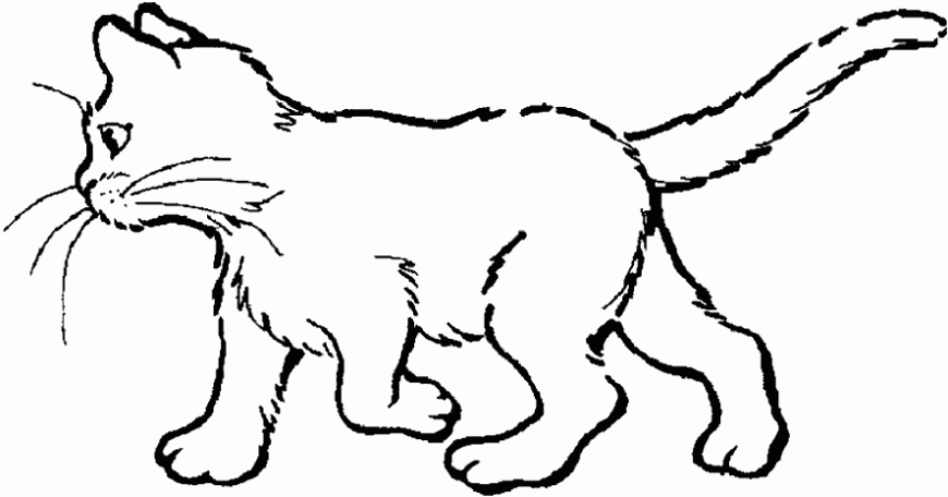 Dibujos De Perros Y Gatos Para Pintar Colorear Imágenes