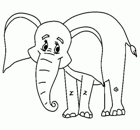 elefante-1.jpg1