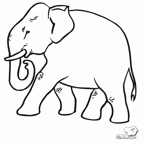 elefante-disegnoelefante-raton-para-colorear---imagui-rgy1kur7