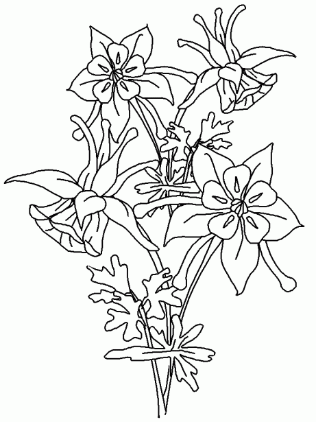 Dibujos de flores hermosas para descargar, imprimir y pintar esta Primavera  | Colorear imágenes