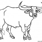 Dibujos de toros para pintar