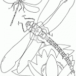 Dibujos de libélulas para pintar