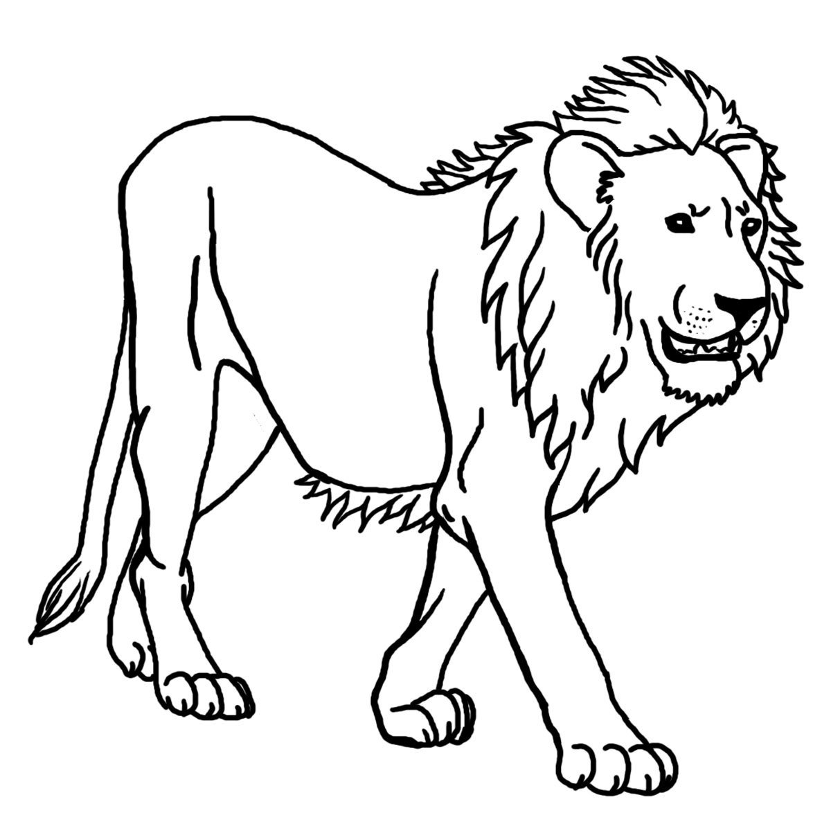 Dibujos de leones salvajes para imprimir y pintar | Colorear imágenes